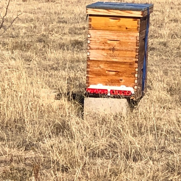 Hand Crafted Beeswax Body balm - Picture 6 of 11